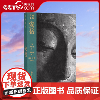 [央视网]安岳 石窟史诗系列 驻足岁月更迭中的石窟一刻 追寻千磨万击下的灵光流动 读库 王南 袁进钊DX