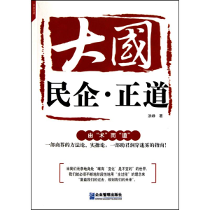正版新书]大国.民企.正道洪峥9787802556676