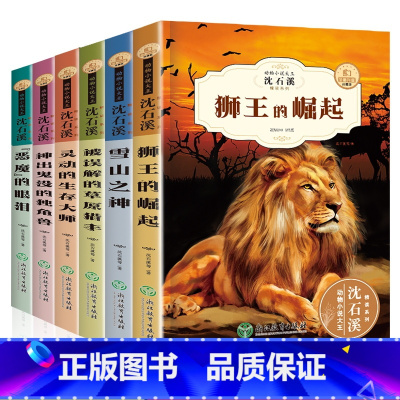[正版]沈石溪动物小说全集6册精读版狮王的崛起 三四五六七年级中小学生课外阅读书籍3-6年级必读课外书8-9-10-1