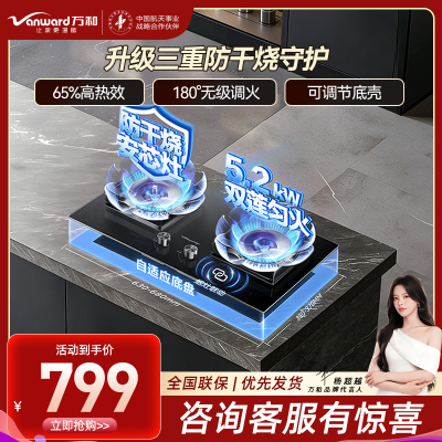 万和(Vanward)[小灶君B10 Pro·防干烧]天然气燃气灶5.2kW烟灶联动国家补贴20%嵌入式家用煤气双炉具