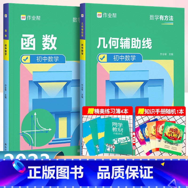 [正版]2025新版初中数学几何辅助线函数套装挑战压轴题初中数学精讲精练专项练习初一初二初三复习资料2024中考必刷题