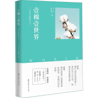 音像壹棉壹世界刘甜,舒黎明 著