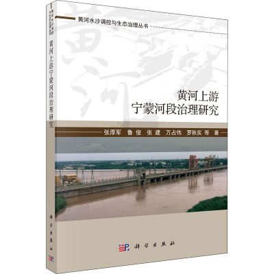 黄河上游宁蒙河段生态治理研究