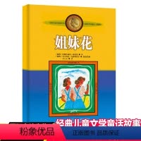 姐妹花 [正版]新版林格伦作品选集·美绘版 姐妹花 外国儿童文学中小学生语文阅读小说课外读物三四五六年级课外读物