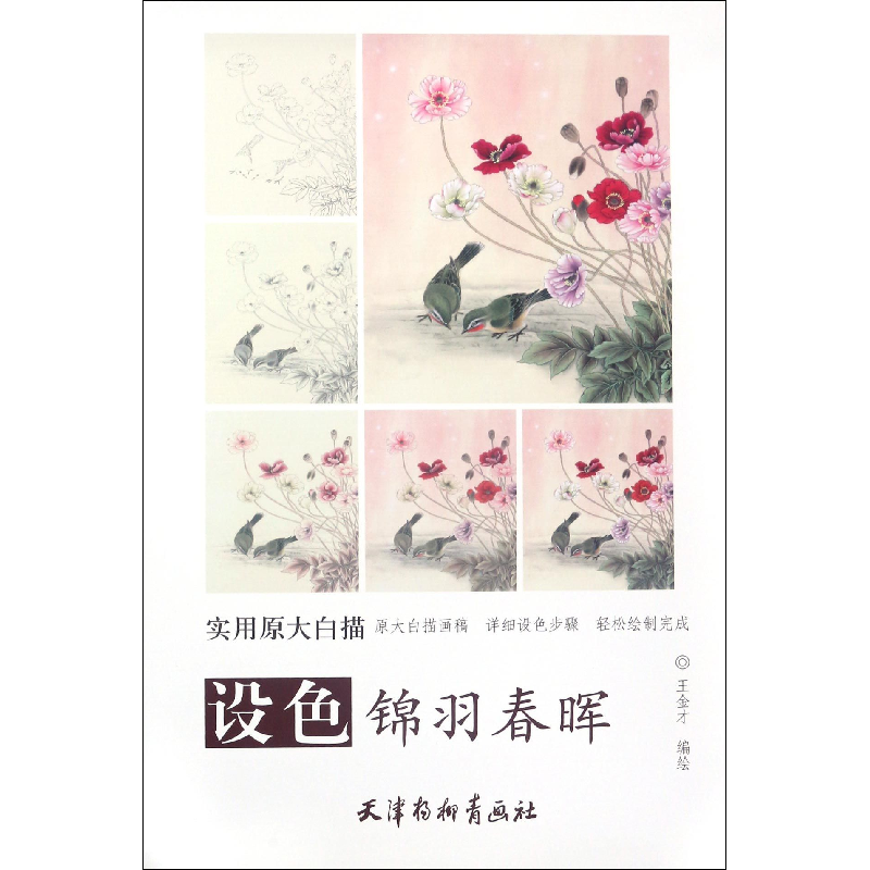 音像设色锦羽春晖/实用原大白描编者:王金才