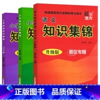 语文数学英语知识集锦 浙江专用(3本) 小学通用 [正版]新版 超能学典小学知识集锦语文数学英语浙江专版一二三四五六