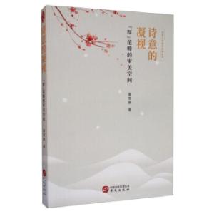 正版新书]诗意的凝视——“厚”范畴的审美空间董雪静 著9787507