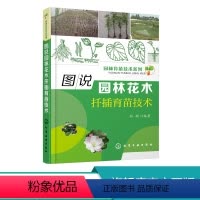[正版]园林育苗技术系列 图说园林花木扦插育苗技术 扦插繁殖技术 育苗实例 病虫害防治方法 花卉种植 园林花木栽培管