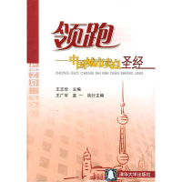 正版新书]领跑(中国城市卖点圣经)王志欣9787302085041