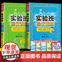 2025春新实验班提优训练二年级下册上册语文数学全套教材书一日一练人教版北师大苏教套装小学生同步训练配套练习册天天练一课