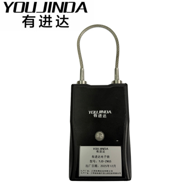 有进达电子锁YJD-ZNGS台