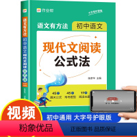 初中语文 现代文阅读公式法 初中通用 [正版]初中语文现代文阅读公式法 语文有方法 七八九年级语文文言文刷题真题专项训练
