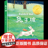 精装版]兔子坡 国际大奖儿童文学 小学生阅读课外书籍 适合二年级下册三四五六年级看的课外书必读正版漫画书童话故事书非注音