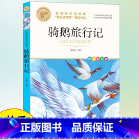 骑鹅旅行记 [正版]鲁滨逊漂流记六年级下册课外书阅读必读快乐读书吧骑鹅旅行记老师的小学生语文上册全套人教汤姆索亚历险记爱