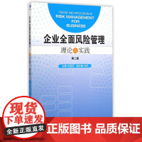 企业全面风险管理理论与实践(第2版)