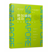音像新加坡的成功:经济增长驱动力(法)亨利·盖斯奇埃尔