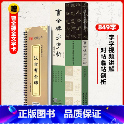 [正版]曹全碑字字析历代碑帖技法解析丛书刘啸编全篇逐字示范视频讲解对照临写拓片高清放大笔画解析隶书初学入门教程毛笔书法