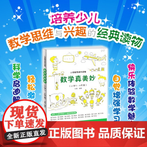 小学数学课外读物数学真美妙小学5-6年级培养少儿数学思维