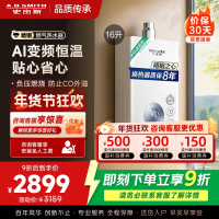 AO史密斯佳尼特16升燃气热水器佳尼特 不锈钢换热器8年包换 恒温大水量 抗风防冻 JSQ31-TC1