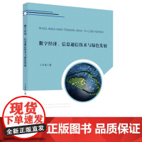 数字经济、信息通信技术与绿色发展 安徽师范大学出版社