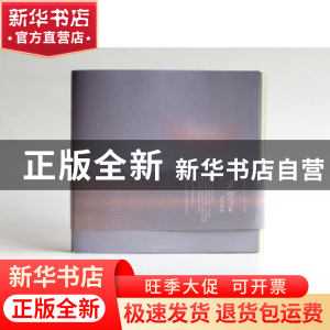 正版 异想天开:设计初始 陈永群 张雪青 龚艳燕 上海人民美术出版