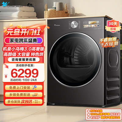 小天鹅(Little Swan)小乌梅3.0高奢版高颜值大容量专业烘护1000ml蒸汽护理强效去皱TH12VE40PRO