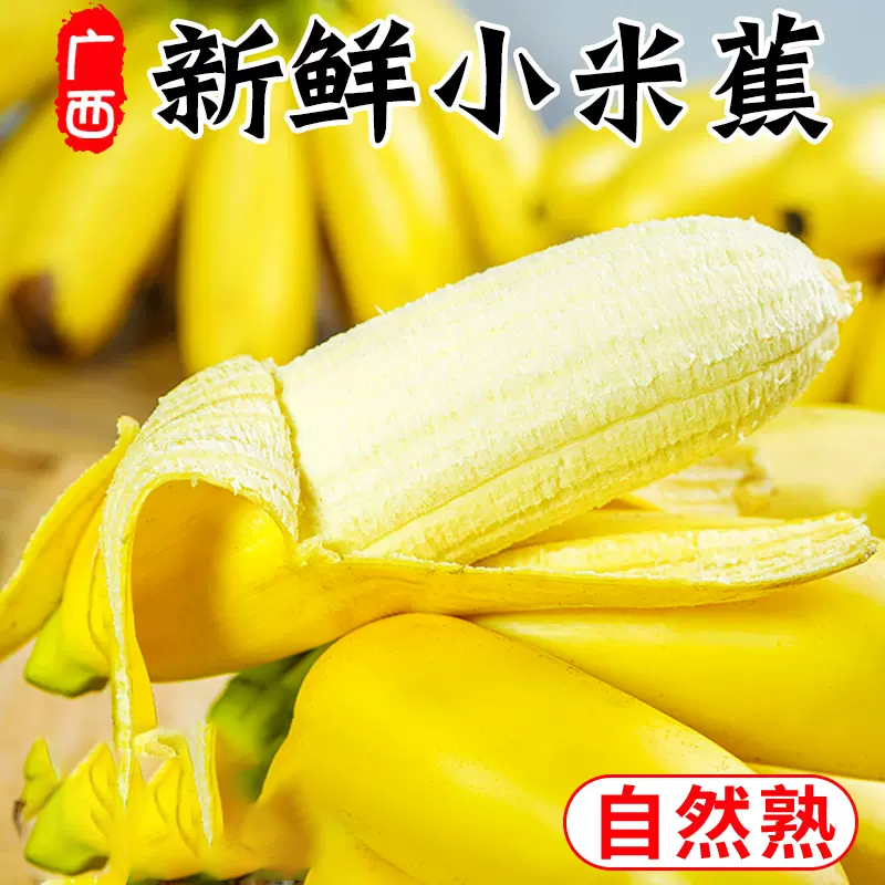 [熊猫鸟]新鲜农家小米蕉 净重5斤 箱装 新鲜当季水果 香甜软糯 孕妇宝宝辅食