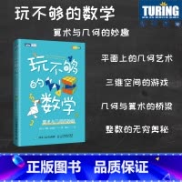 [正版]玩不够的数学 算术与几何的妙趣 当数学遇上游戏 数学 算法 几何 统计学