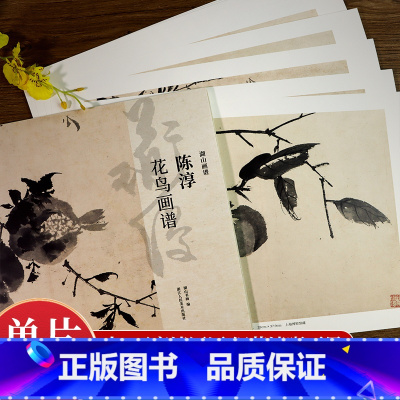 花鸟篇5册 [正版]湖山画谱 陈淳花鸟画谱 单片散装/册页立轴/散页盒装高清还原/可临摹鉴赏装饰收藏 陈淳花卉册页精品画