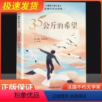 三十五公斤的希望 [正版]35公斤的希望书 国际大奖小说获奖童书 安娜·戈华达 著著 小学生三四五年级课外书6-7-8-