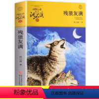 [正版]残狼灰满 沈石溪动物小说品藏书系升级版 小学生课外阅读书籍6-12岁青少年版儿童文学三四五六年级儿童文学故事畅
