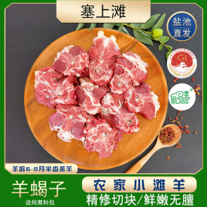 塞上滩宁夏盐池滩羊羊蝎子羊脊骨切块4斤