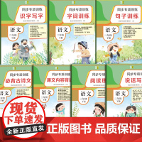 同步专项训练·语文二年级下册(套装)