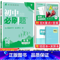 [苏科版]九年级下册物理 九年级/初中三年级 [正版]2024初中必刷题九年级上册下册语文数学英语物理化学政治历史全套人