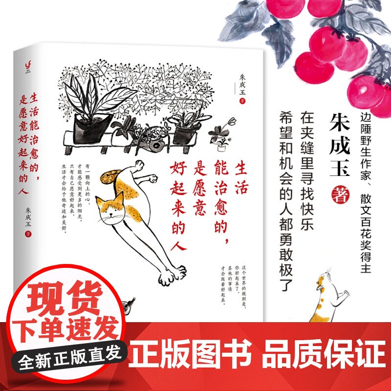 生活能治愈的 是愿意好起来的人 朱成玉 著 励志与成功