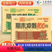 [两本]语文人教+数学人教(下册) 小学三年级 [正版]2024春小学期末冲刺100分三年级下册语文数学人教版完全试卷同