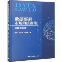 音像数据要素市场的法治化:原理与实践周辉,张心宇,孙牧原著