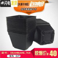 三维工匠十方大黑方塑料多肉黑方花盆10cm花卉绿植盆栽托盘托架小黑方 新疆西藏青海快递不到 10cm*8cm*6花盆容器