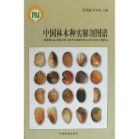 音像中国林木种实解剖图谱任宪威,朱伟成主编