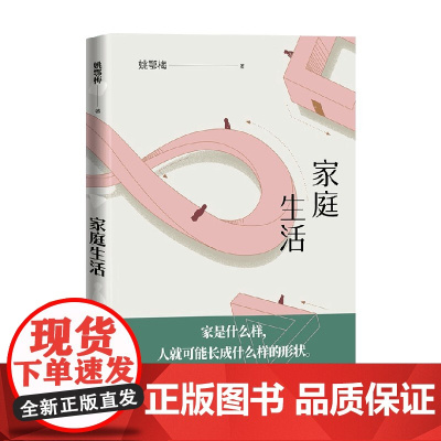 家庭生活 姚鄂梅 著 小说