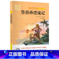鲁滨孙漂流记 [正版]中小学生大阅读系列丛书 爱的教育爱丽丝漫游奇境记安徒生童话小王子狐狸列那的故事一千零一夜昆虫记课内