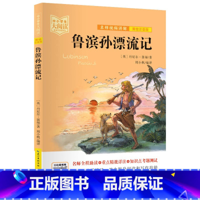 鲁滨孙漂流记 [正版]中小学生大阅读系列丛书 爱的教育爱丽丝漫游奇境记安徒生童话小王子狐狸列那的故事一千零一夜昆虫记课内