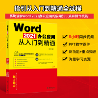 音像Word2021办公应用从入门到精通王锋