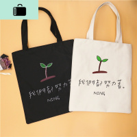 学生简约百搭ins小清新帆布包女单肩文艺时尚托特包大手提袋韩国NEW LAKE女手包