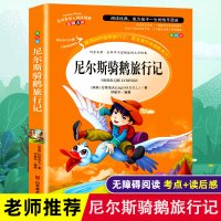 尼尔斯骑鹅旅行记