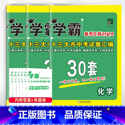 [2024]数物化 套装3本 初中通用 [正版]备考2024学霸江苏13十三大市中考试卷汇编30三十28二十八套数学语文