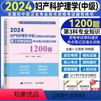 [正版]2024新版妇产科护理学(中级)资格考试单科通关第3科专业知识考点笔记及强化训练 全国卫生资格考试主管护师20