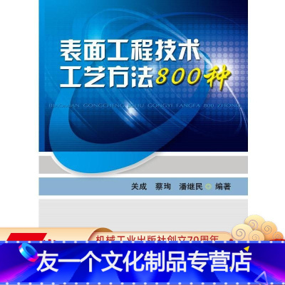 [友一个正版] 表面工程技术工艺方法800种 关成 蔡珣 潘继民 氧化处理 磷化处理 铬酸盐 钝化 着色 染色 电