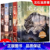 [共5册]沈石溪经典动物小说系列:第一辑 [正版]QHL沈石溪动物小说全集全套20册 8-10-12-15岁小学初中经典