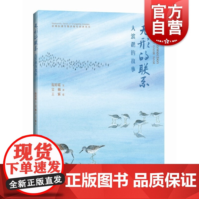 无形的联系大滨鹬的故事 崇明东滩生物多样性科普丛书 陈婷媛著 王紫绘 上海科学技术出版社